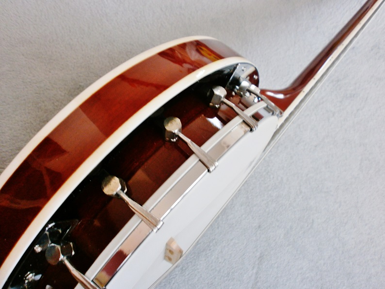 BANJO 6 STRUN VISION BLÁNA REMO